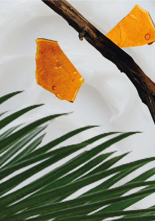 Sérum Réparateur Miracle N°06 - Flora à Zanzibar