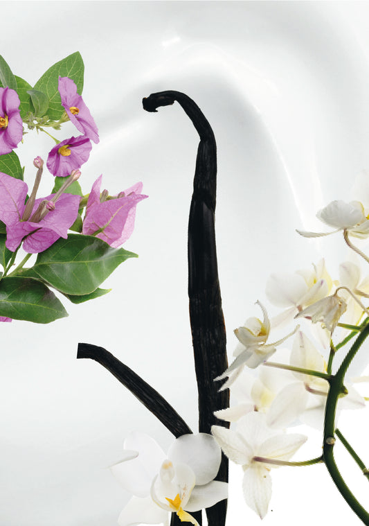 Sérum Réparateur Miracle N°07 - Flora aux Maldives