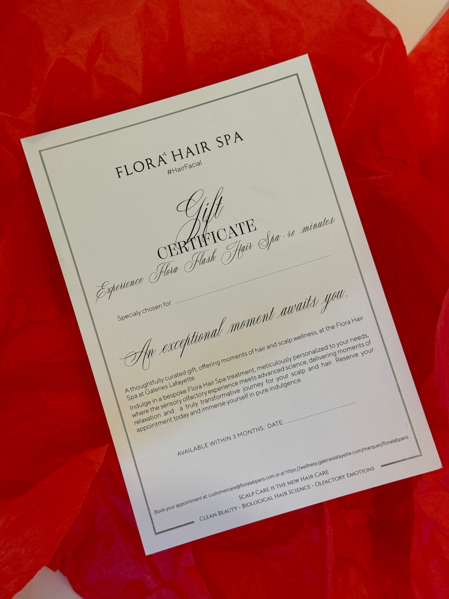 Carte Cadeau