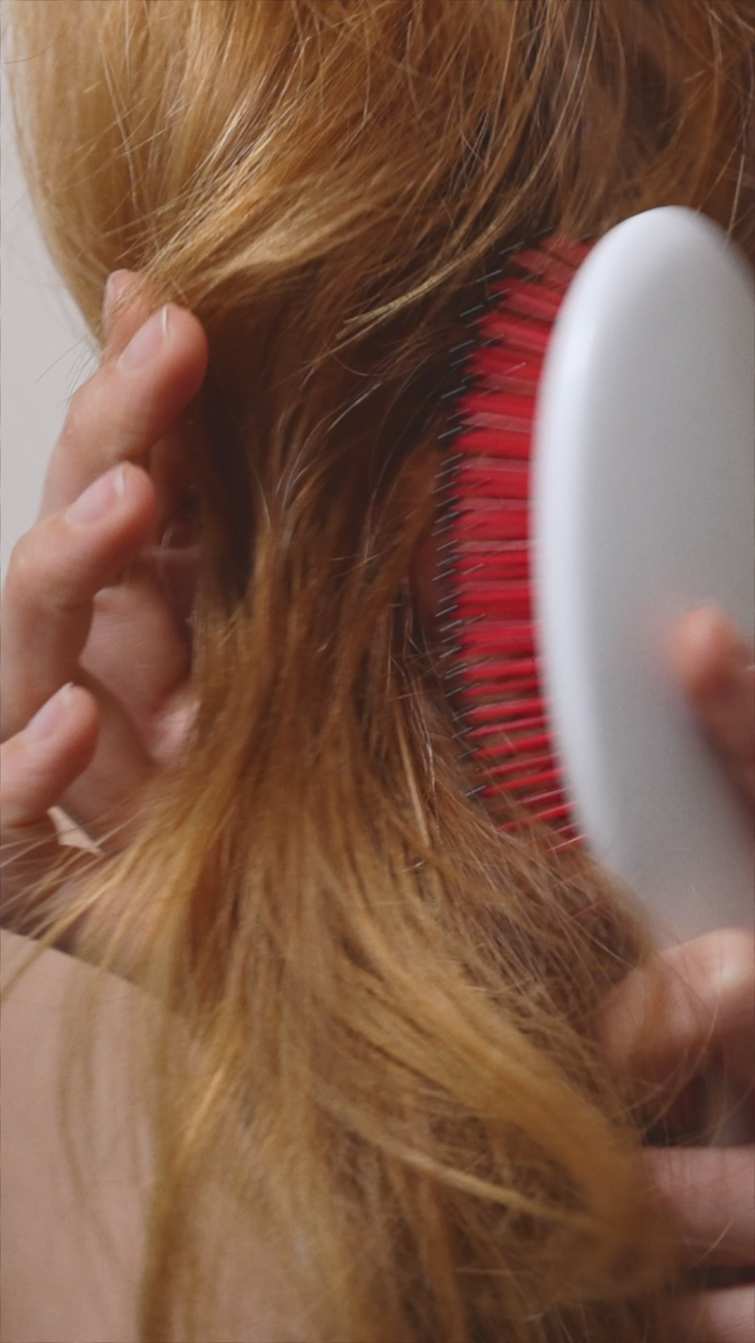 Brosse Miracle N°2